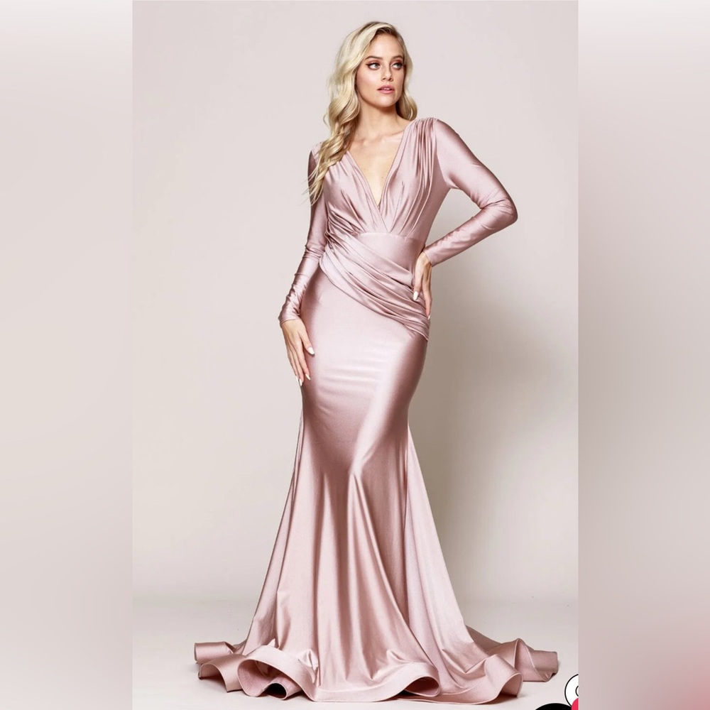 Sophisticated Blush Fitted Long Sleeve Lycra Gown by Amelia Couture 381